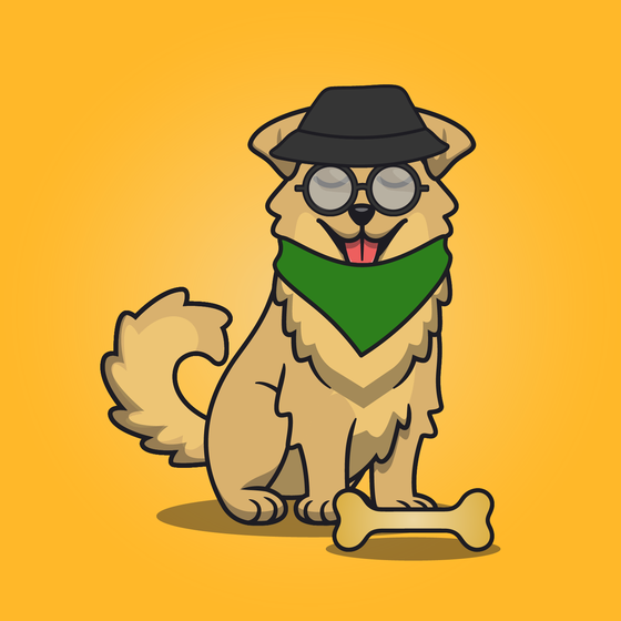 Fetch #15