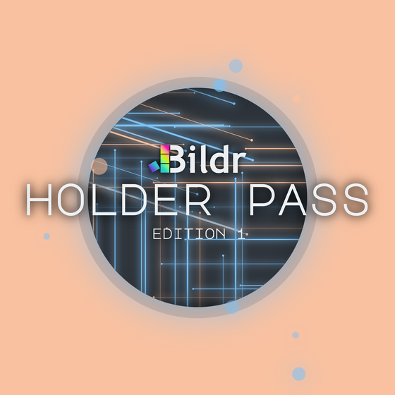 Bildr Holder Pass