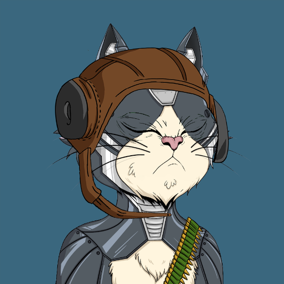 Angry Cat YC #2367