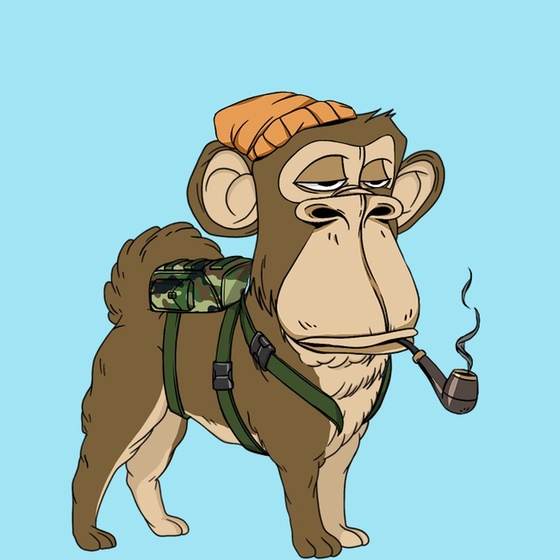 Kennel Ape #9965