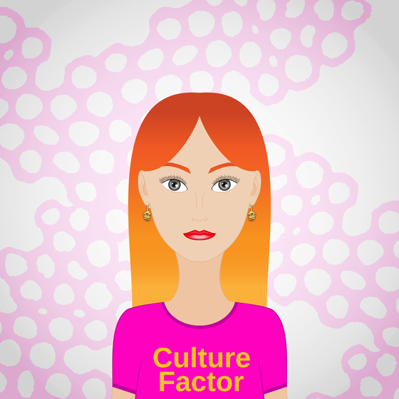 Culture Factor #6