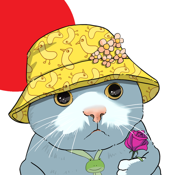 Puzzled cat #8519