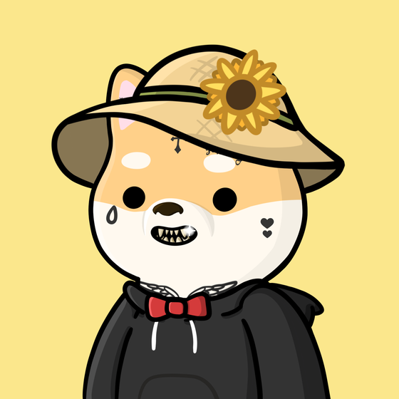 Shibe #2488