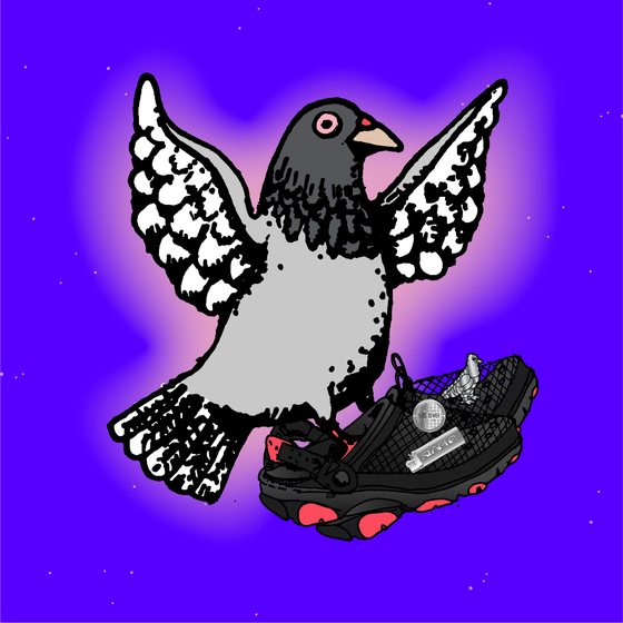 CROCS HOMING PIGEON #27/246