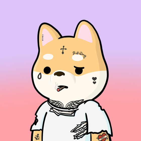 Shibe #3815