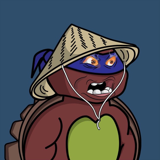 Degen Ninja Turtle #4869