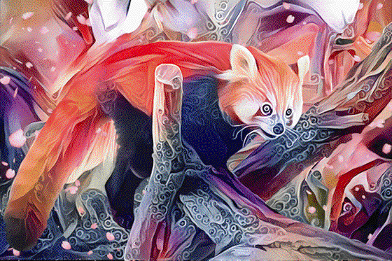 [AR] Red Panda