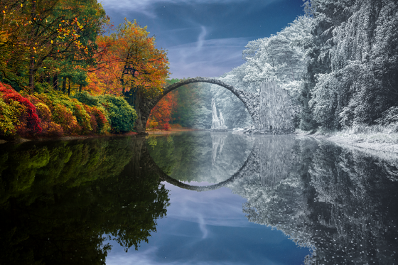 Reflection #229