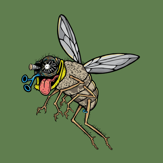 Funky Fly #1559