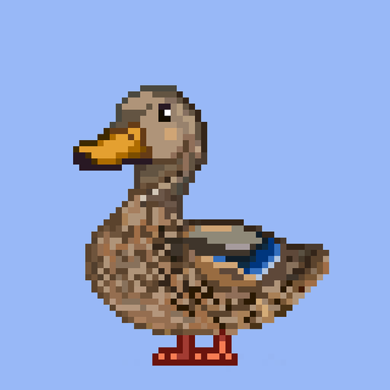 Mallard #5557