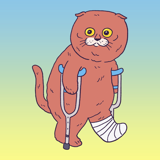 Crutch Cat #1138