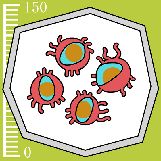 808