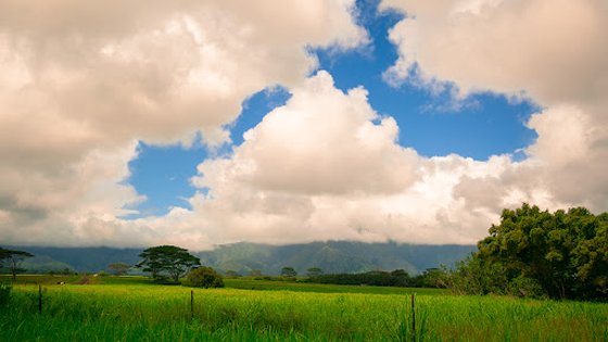 Green Land Blue Skies 