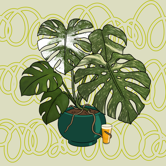 Moody Monstera #29