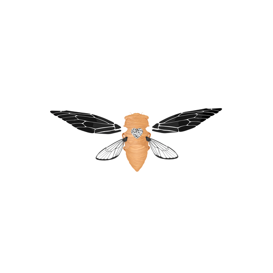 Cicadas #216