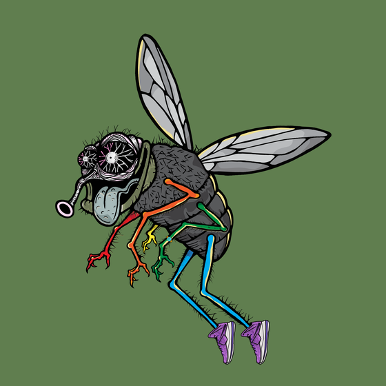 Funky Fly #2507