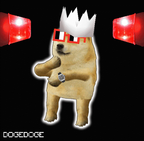 DOGEDOGE #2000