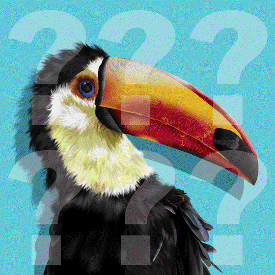 Travel Toucan #45