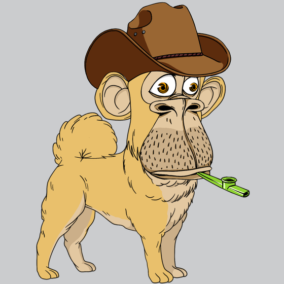 Kennel Ape #2241