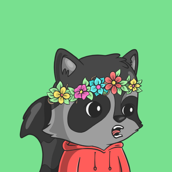 LookAtMyRaccoon #3047