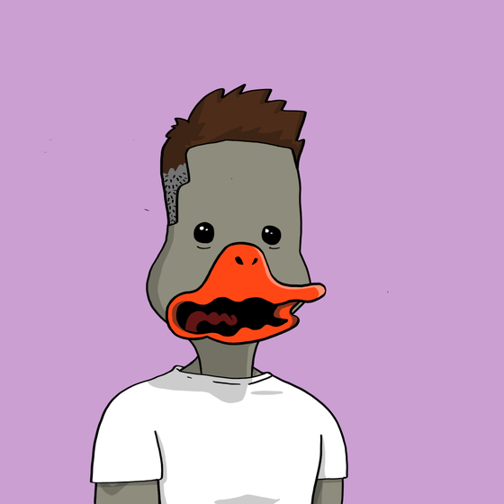 Duck #2160