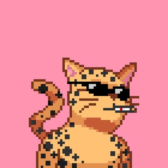 Cat #308