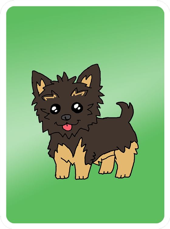 Yappy Yorkshire Terrier