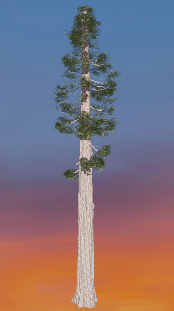 _mintForest Redwood #41