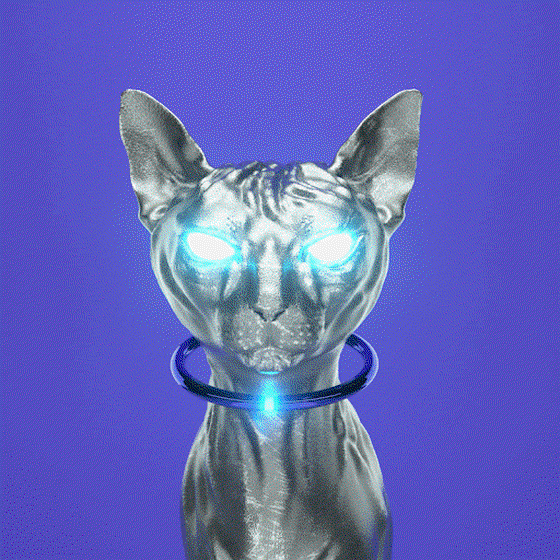 Sphynx CYBER / Digital pet