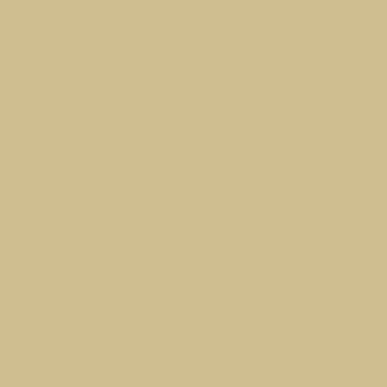 Doge Pixel (213, 170)