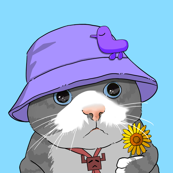 Puzzled cat #9198