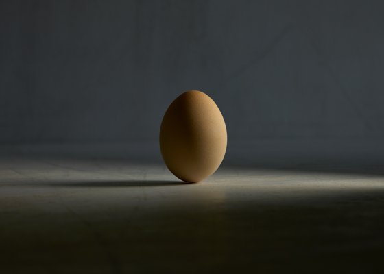 The Egg 460