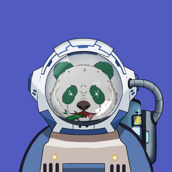 Panda Astronaut Club #804