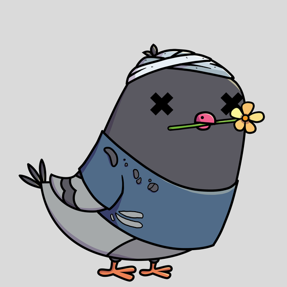 Pigeon #8176