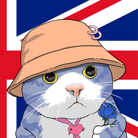 Puzzled cat #5780