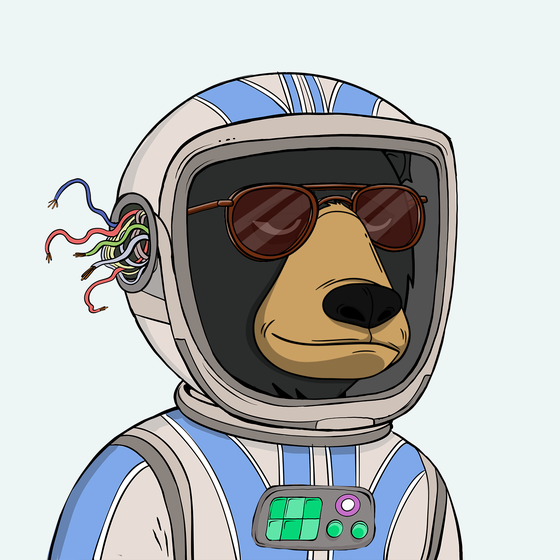 Okay Space Bear #2875