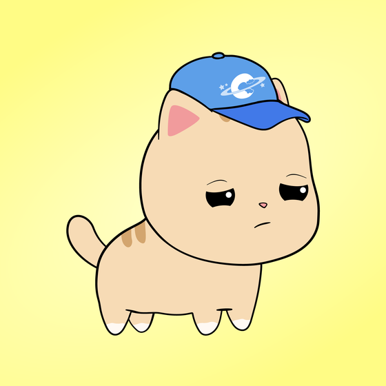 Chubbicat #8646