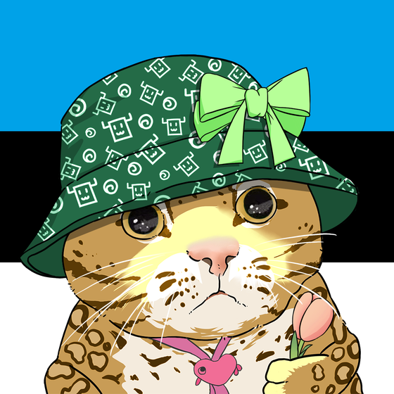 Puzzled cat #9243