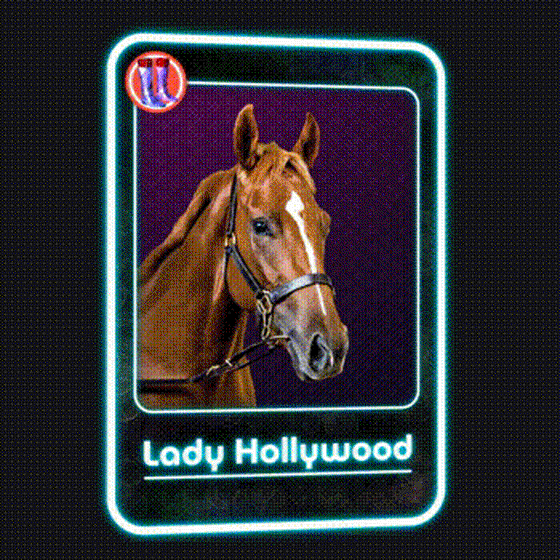 Lady Hollywood Jockey Club #74