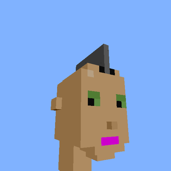 PunkVoxels #8509