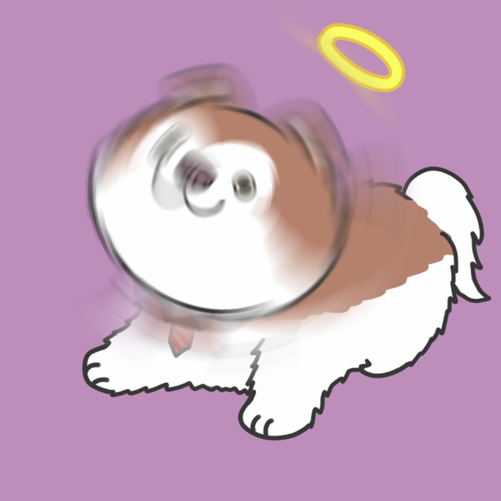 DogDrill#1018