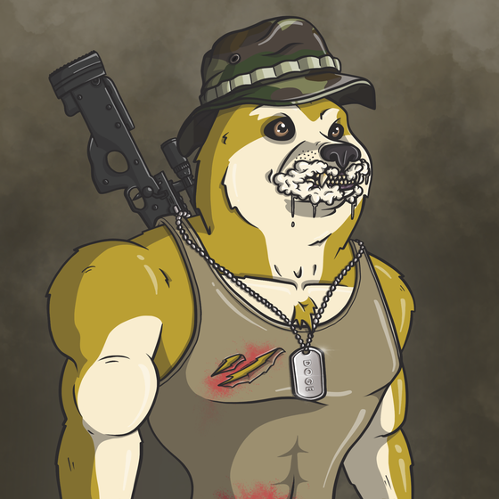 Doge Army #1343