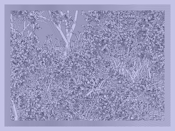 Entangled #151