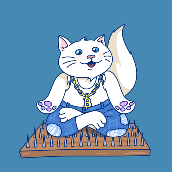 Meditating Bitcoin Cat #11