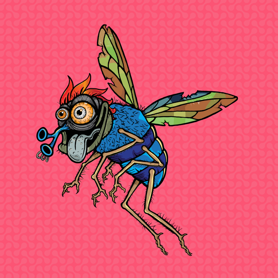 Funky Fly #2066