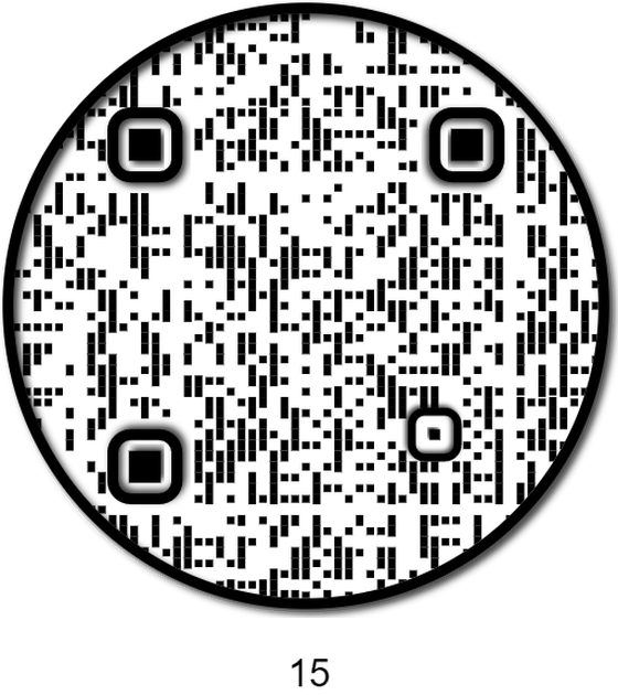 APE QR #15