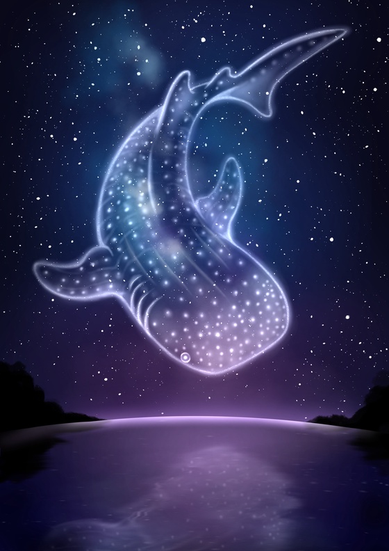 Whale shark swimming in the sky