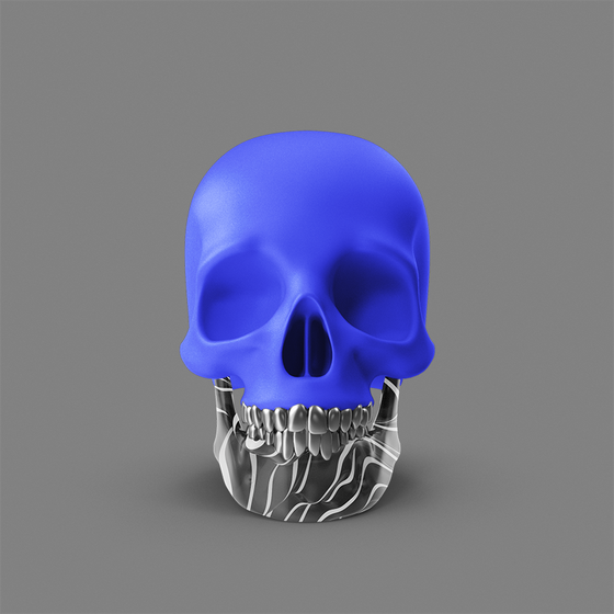 Skull #821