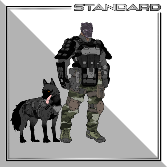 WAFF Standard - #1583