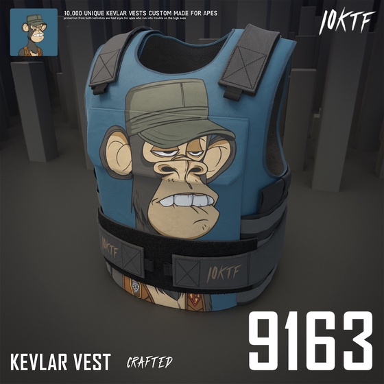 Ape Kevlar Vest #9163